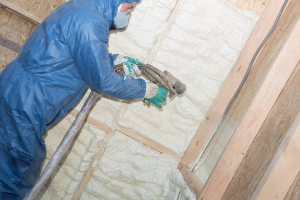 Reliable Savoy, IL Insulation Solutions